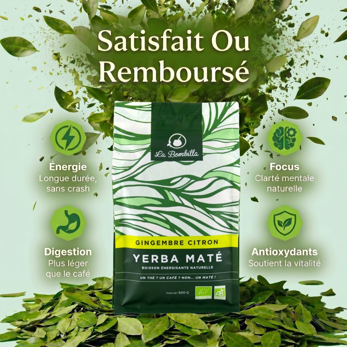 Maté Gingembre-Citron Bio